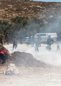 إصابات إثر قمع الاحتلال مسيرة بيت دجن الأسبوعية