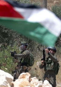 الاحتلال يخطر بالاستيلاء على مئات الدونمات في بيت لحم