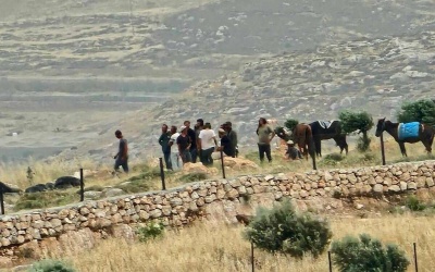 مستعمرون يهاجمون المواطنين قرب المغير شرق رام الله